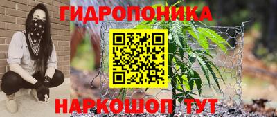 ECSTASY Заводоуковск