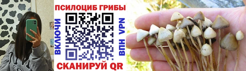 Псилоцибиновые грибы Cubensis  Липецк 