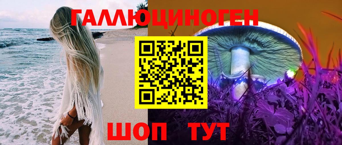 Псилоцибиновые грибы мицелий  Липецк 