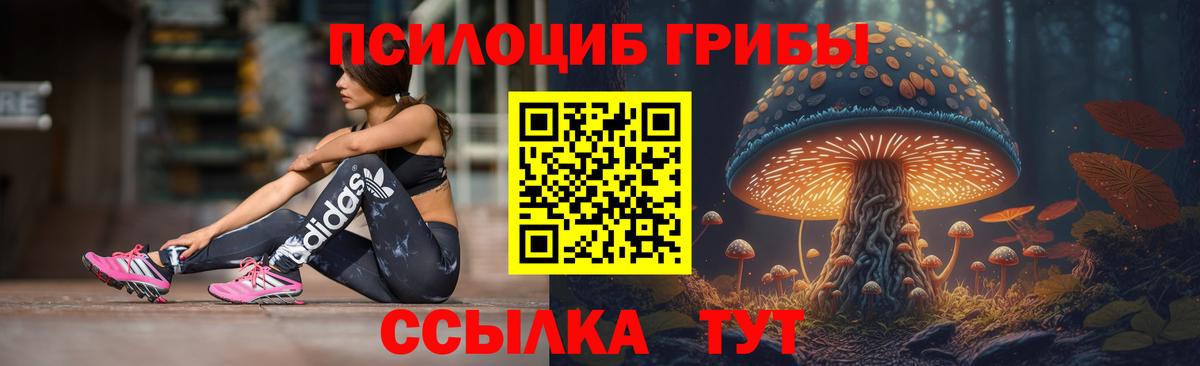 Псилоцибиновые грибы Magic Shrooms  Вход с VPN  Липецк 